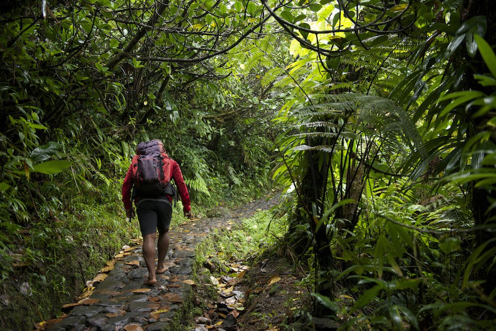 ilesGuadeloupe's tweet photo. Si la rando vous plait, direction Basse-Terre ! Ses forêts, colines et cascades seront votre terrain de jeu :) https://t.co/bGIdvLcpOI