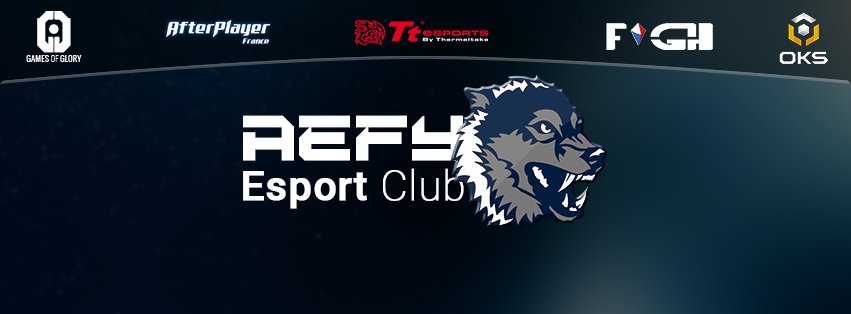 aefy esport tweet media