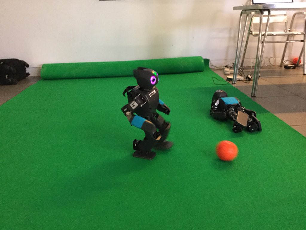 judebaines's tweet photo. Oberon playing football - fair about to begin #stem15 @UniofHertsCEE https://t.co/0TkM671JRK