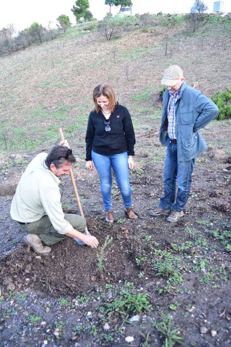 Plan_INFOCA's tweet photo. Escolares de #CastelDeFerro - #Granada participan en la reforestación de la zona quemada en #Lújar el pasado julio. https://t.co/rfuwedGmo2