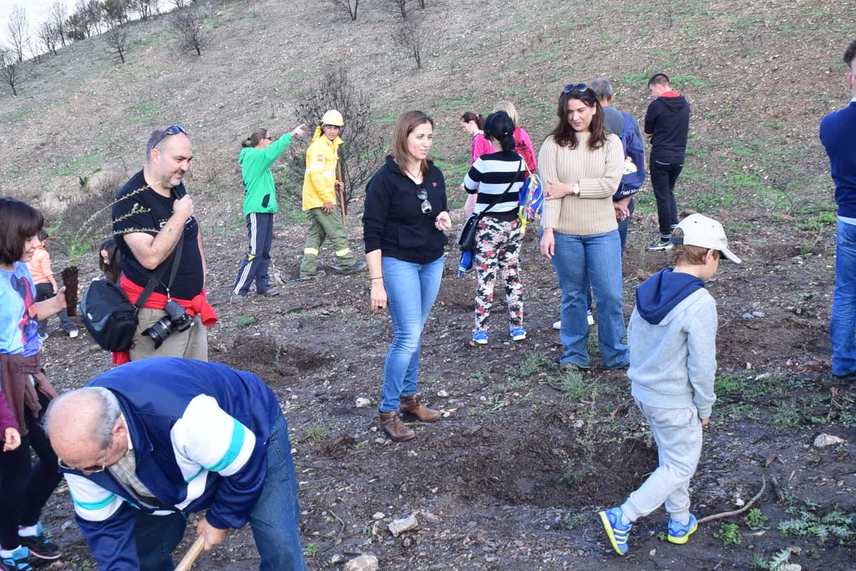 Plan_INFOCA's tweet photo. Escolares de #CastelDeFerro - #Granada participan en la reforestación de la zona quemada en #Lújar el pasado julio. https://t.co/rfuwedGmo2