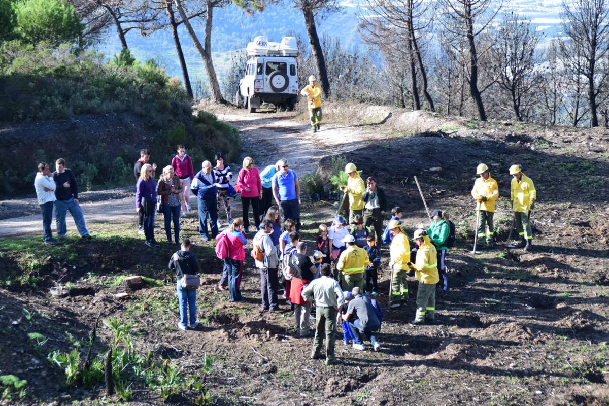 Plan_INFOCA's tweet photo. Escolares de #CastelDeFerro - #Granada participan en la reforestación de la zona quemada en #Lújar el pasado julio. https://t.co/rfuwedGmo2