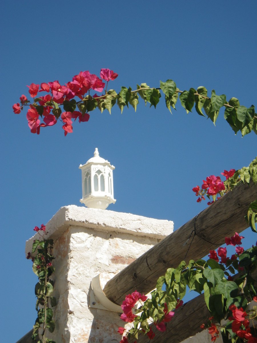 NeilsonAndriake's tweet photo. #red bougainvillea #white wall lamp &amp; that #very #bluesky here once again #today...#autumn at #Andriake, the best! https://t.co/5r0oyzztkW
