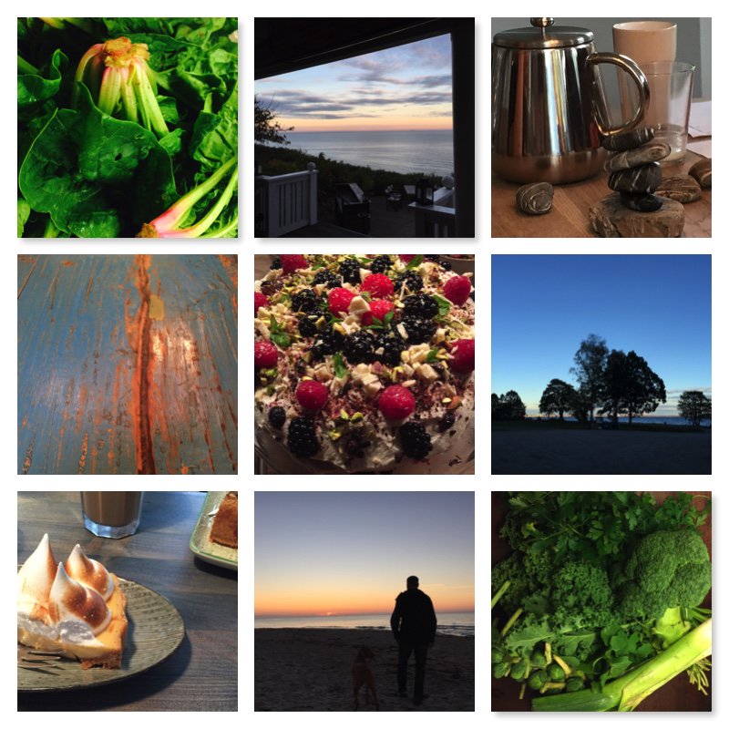 October #gratitude tinapostaagaard.com/gratitude-blog