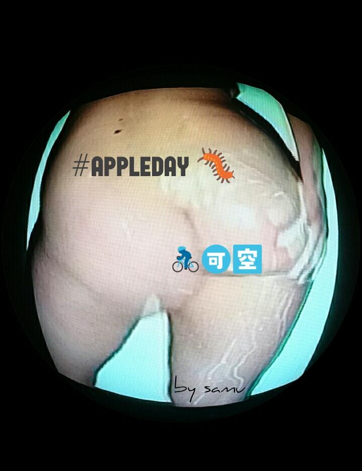 spolyptych's tweet photo. #appleday #websummit #fingerfriday #digitalefolklore #DigitalWeekirl #whatisartfor #elsamu #rhagallery 🏤 @kevin2art https://t.co/j1GwHwfext