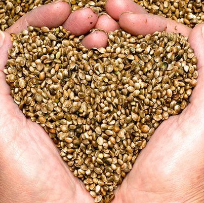 LucyLuLuu's tweet photo. @420iloveweed @SuzieSativa awwww I shall throw seeds at the ceremony 

#LucysStateOfMind 
#WhyNotItsWed https://t.co/iusjdlXOzN
