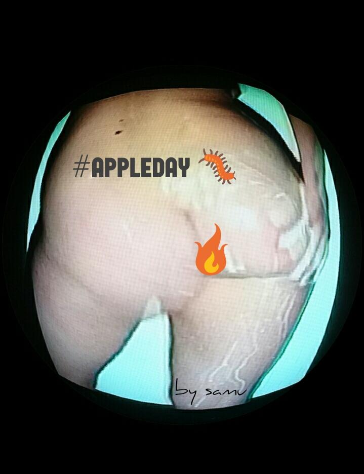 spolyptych's tweet photo. #appleday #websummit #fingerfriday #digitalefolklore #DigitalWeekirl #whatisartfor #elsamu #rhagallery 🏤 @kevin2art https://t.co/dCTvKWUsoo