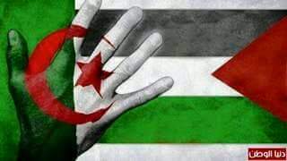 SamarVive tweet picture