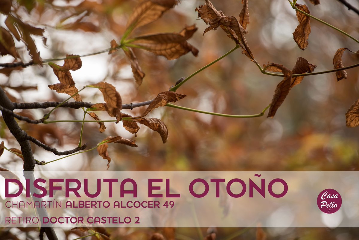 Disfruta el otoño con nosotros. #restaurante #madrid