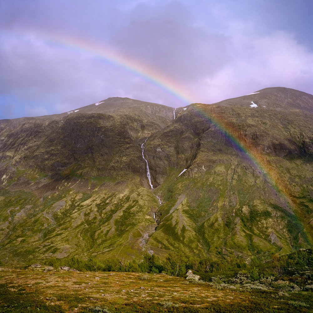 sans_oslo's tweet photo. sans loves #9: GARD AUKRUST - FJELLA https://t.co/pDwVeW2pM0 https://t.co/ntnshdBpJl