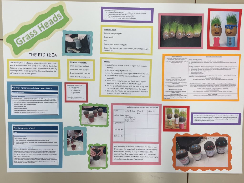 MissERGreen's tweet photo. Our science investigation poster 🎨 https://t.co/WKs8AV9DaS