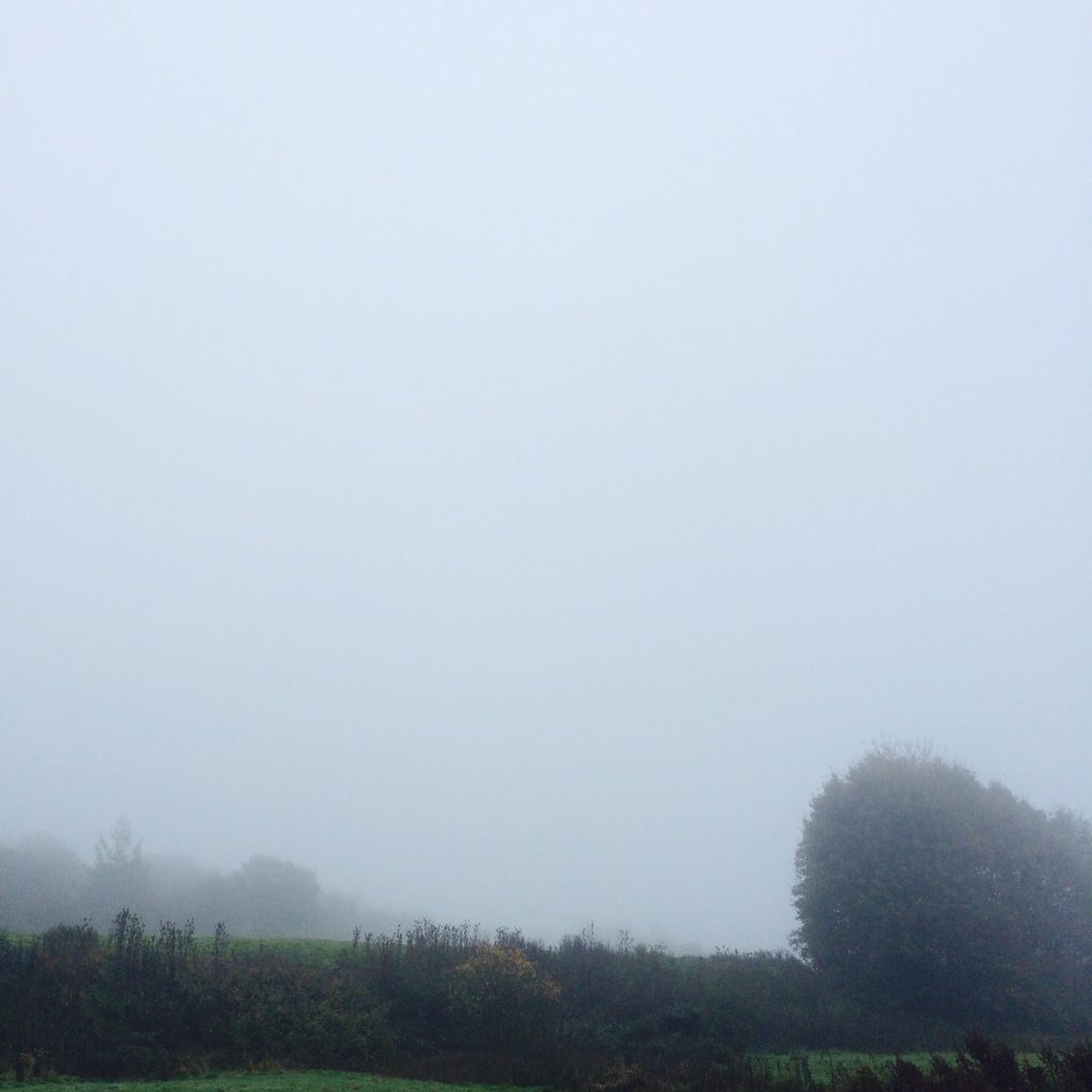 lwilkes94's tweet photo. @brianmoore1 #whatsinfrontofme lots in front of me! Best view ever. https://t.co/eztA5XTq7M