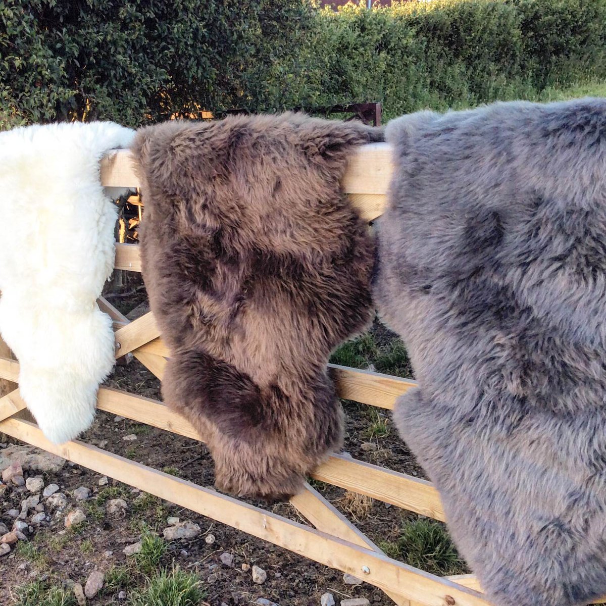 MacmillanFair's tweet photo. @aliceupholstery will be at our Fair next week, bringing beautiful sheepskin homewares and accessories #fairfinds https://t.co/e7wW28dt0g