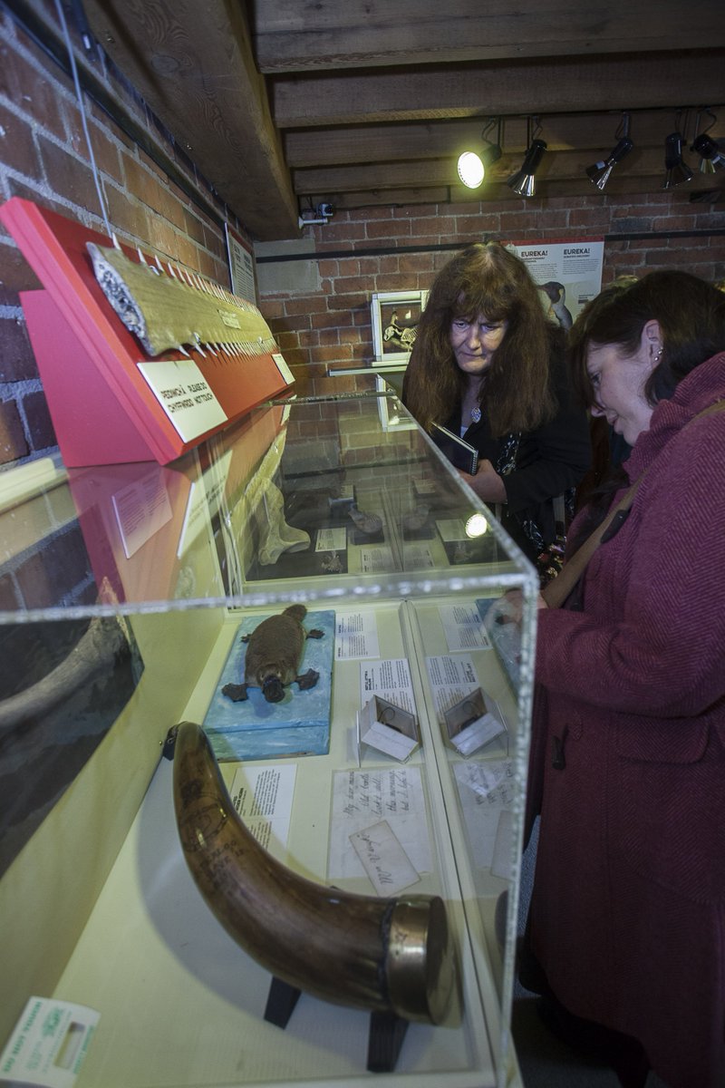 LinkinCollWales's tweet photo. Coming to @MuseumsAssoc #Museums2015? Find out about #50Wonders & sharing #collectionsknowledge. Thurs10.50 Hall 9 https://t.co/yp1p6U5uyL