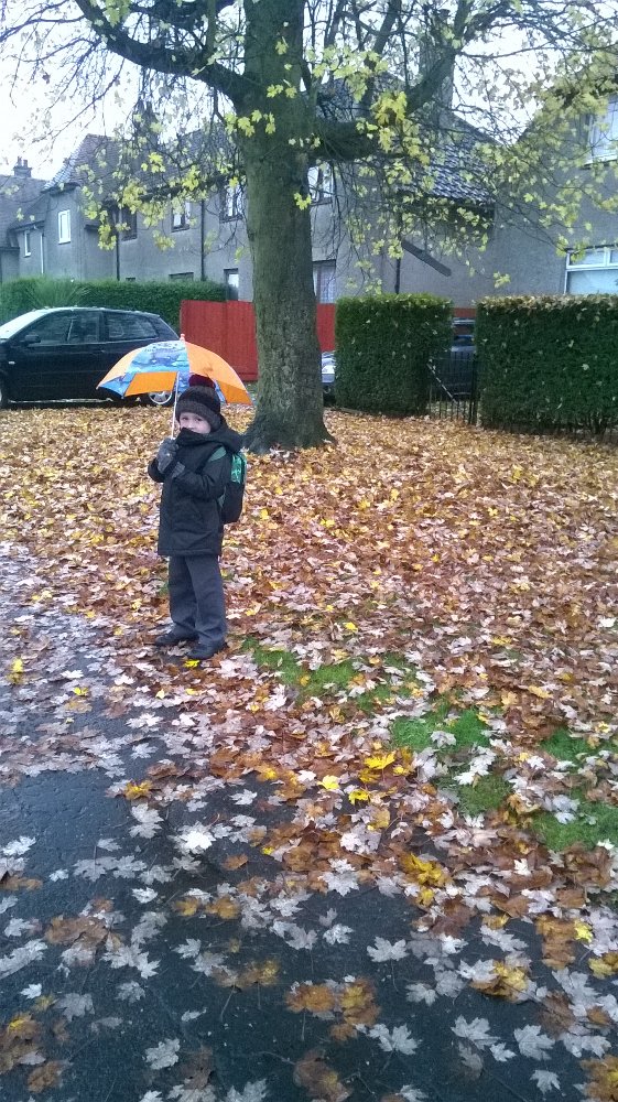 JenniferHill03's tweet photo. @densroadps Rory walking to school looking for signs of autumn this morning! This trees leaves are nearly all off. https://t.co/PyGVVinVRN