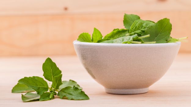NDTVFood's tweet photo. Facts you must know about tulsi: https://t.co/QIGGuEWdfk https://t.co/WItCTkzO3n
