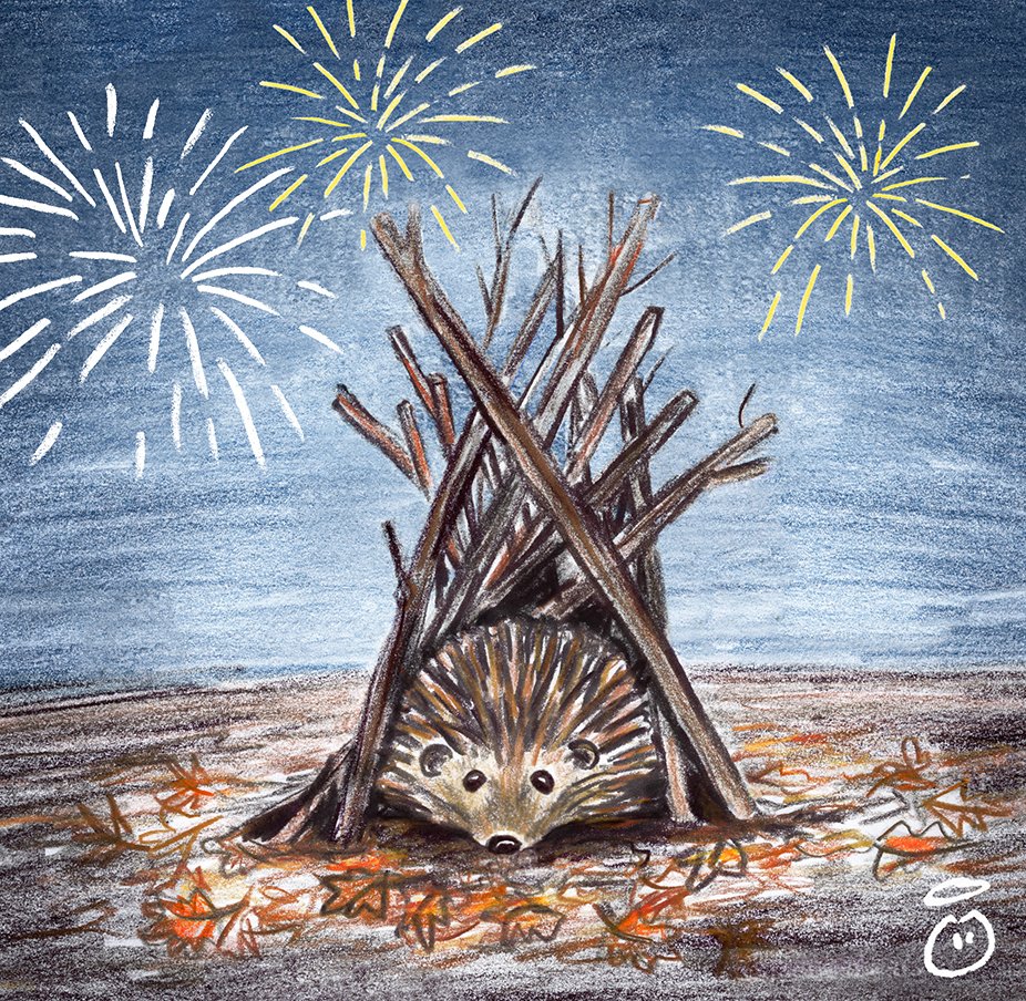 innocent's tweet image. Hedgehogs like to hang out in unlit bonfires. Please check yours is hedgehog-free before you light it.