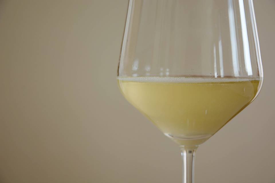 Un bel bicchiere di Vino Prosecco.