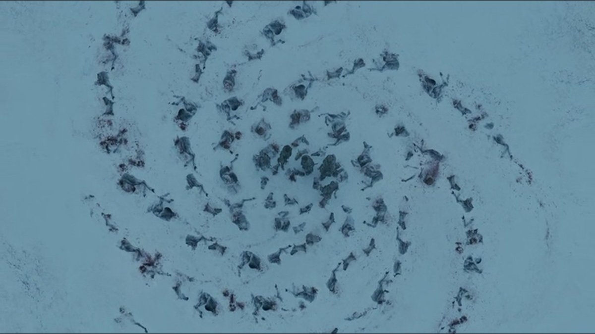 ReelHorrorBall's tweet photo. This Holloween the Game of Thrones, White Walkers, invade @NikkiBeachMiami Visit https://t.co/QuYaNHJEVx for tickets https://t.co/4V6KuFOvpO