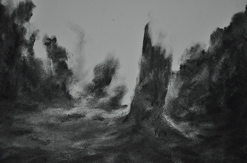 ryanjoucla's tweet image. charcoal &amp;amp; graphite study in progress
part of a new series of drawings in the making
#drawing #charcoal #nature #art