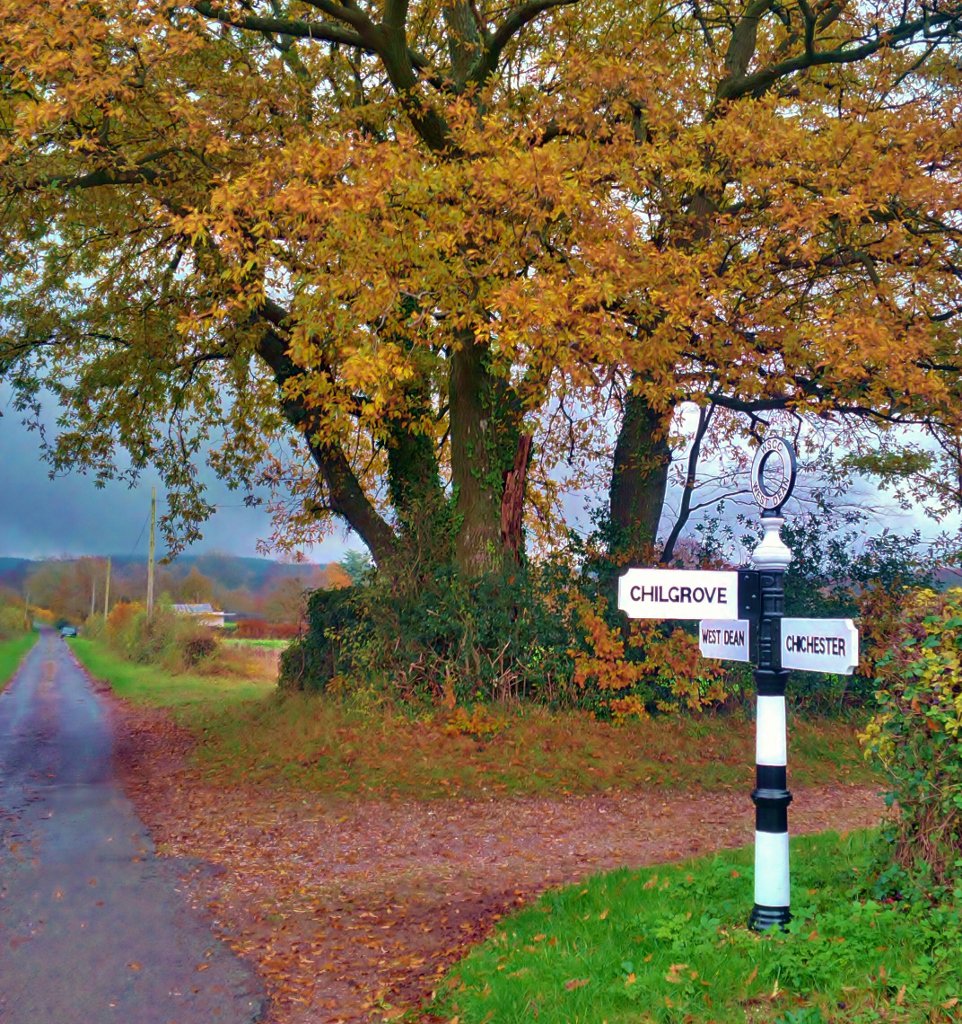 ChilgroveGin's tweet photo. Beautiful Autumn colours in Chilgrove this afternoon. #Sussex #nearlytimeforgin https://t.co/9eMs0D3A84