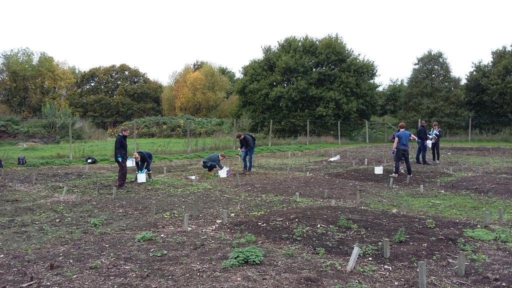 SDuddigan's tweet photo. Msc #students looking at how different #composts affect #soil properties on my study site at #RHS Wisley #RHSOMplots https://t.co/C4Iro64FLQ