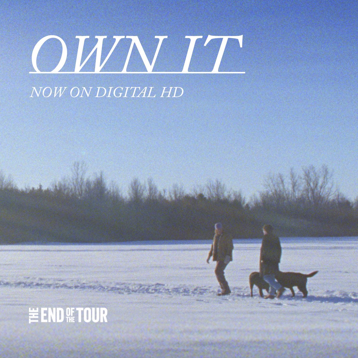 EndOfTourMovie's tweet photo. "Thoughtful and deeply affecting. A profoundly moving story." – @EW. Now on @iTunes: https://t.co/V5qOfvoO13 https://t.co/oA3qzilUL8