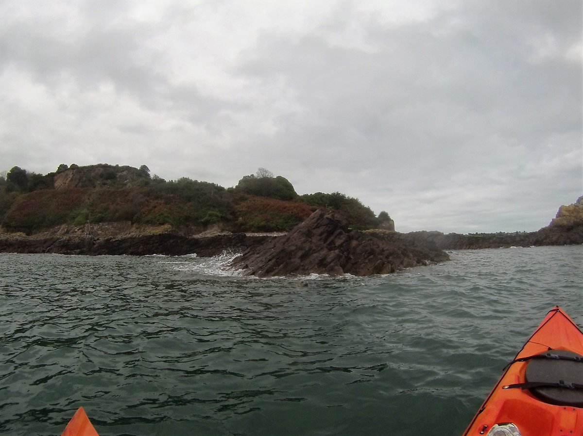 JerseyAdventure's tweet photo. This little Seal joined us today #JerseyAdventures #its_a_JAAC_thing #explorejersey #VisitJersey https://t.co/Cx4oceWyGj