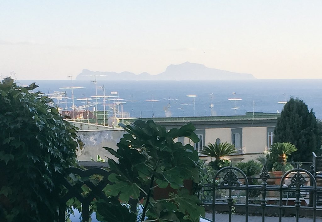 Delinet's tweet photo. Ready to start #LSMNaples from #137A ... Great location, great team https://t.co/DK4XMlet5C