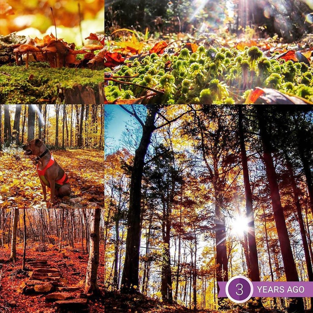 On our way to get the puppies, and I got this notification... It really made me smile! Har… ift.tt/1GvEEmz