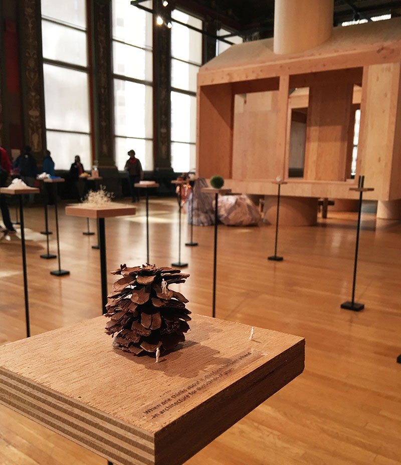 archKIDecture's tweet image. An acorn? A roll of tape? Pingpong balls? See the great exhibit #architectureiseverywhere bit.ly/1MeU29i