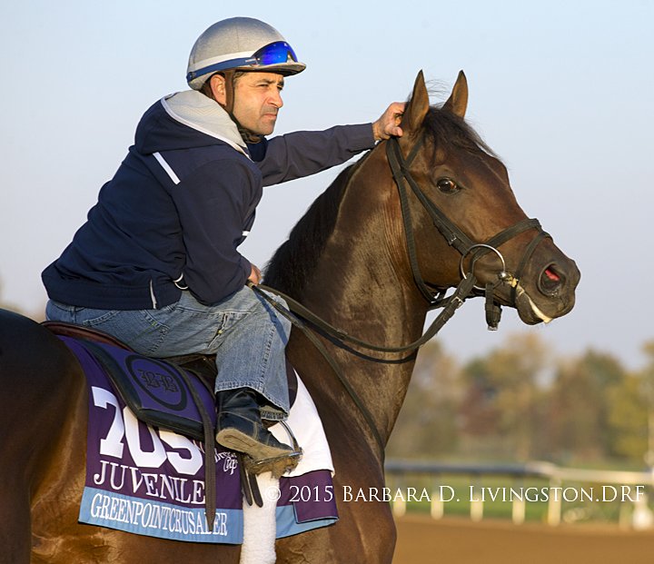 Route de la Breeders' Cup 2015 - Page 3 CSA7C9gWUAEOgOG