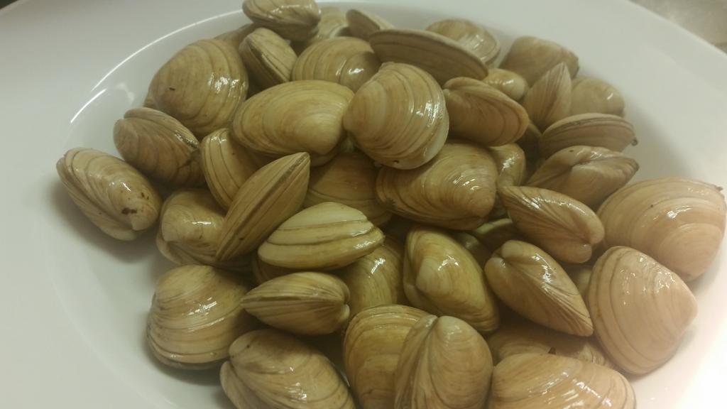 josephharding23's tweet photo. @KellyOysters clams have arrived going straight on the board #Fishfriday #freshseafood @KingSitric @eastcafebar https://t.co/QKFrZkqGU9