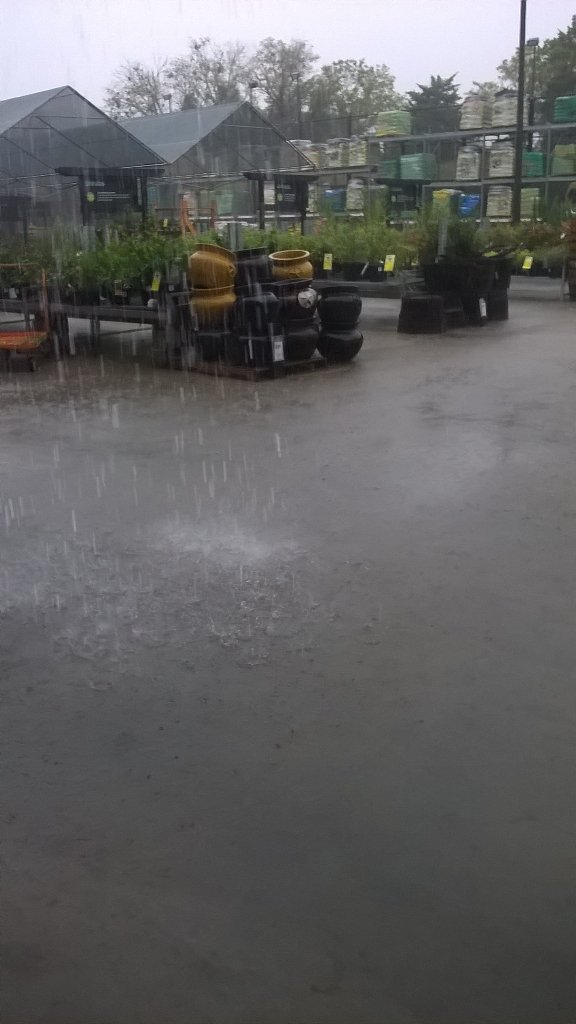 8976 Garden 🏡 section. Plants loving the rain. Be safe 😊 my fellow THD family