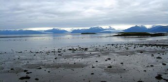Totaliceland's tweet image. Imagine being next door neighbor to a giant glacier #Iceland #Höfn #Hornafjordur #Island 
 totaliceland.com/useful-stuff/p…