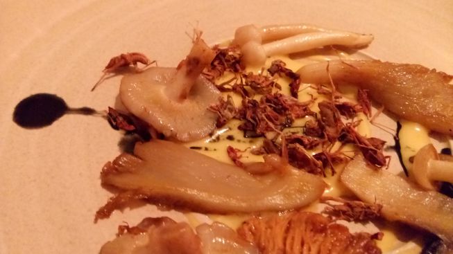 tastebris's tweet photo. Corazon de Tierra x Casamia - I don't like crickets...I love them! @Casamia_ @dhbaquedano  https://t.co/kPyHfHozpE https://t.co/YvQijOIRI0