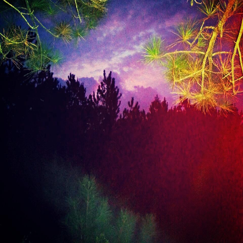 DwillInTheVan's tweet photo. Nice purple skys in the stand this morning. #webbranch https://t.co/HLY4cuI52d