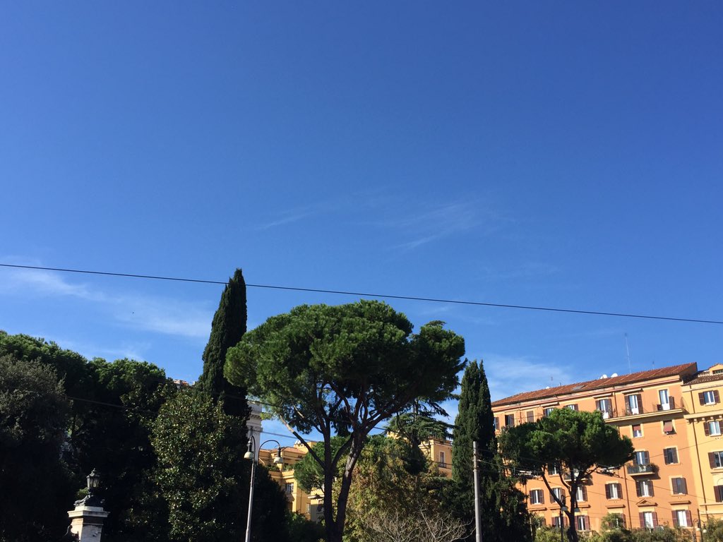 BrowsingRome's tweet photo. Couldn't ask for a more perfect day. Sunny, warm and blue skies #Rome #fallinRome https://t.co/fBOzdYwRjv