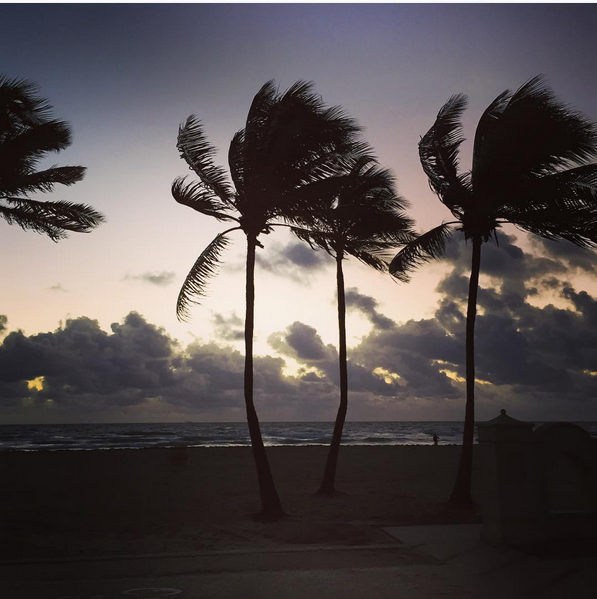 HollywoodFLCRA's tweet photo. Good Morning from #HollywoodBeach how are you starting your morning? #beach #sunrise https://t.co/opsgC1V8Kr