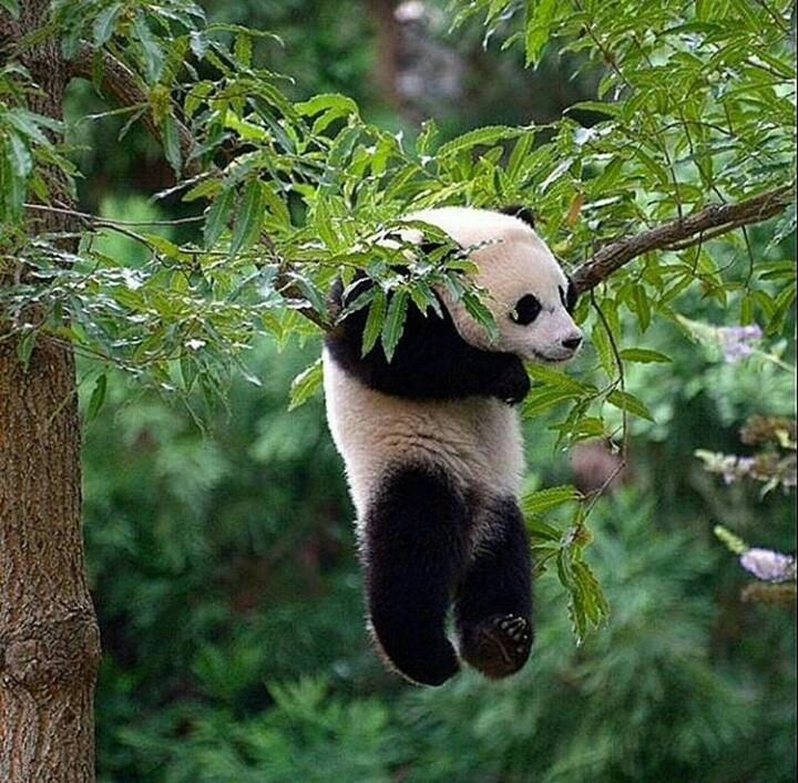NataErre's tweet photo. Cuando tienes que estudiarte un examen para el lunes que se aprueba con más de un 7... https://t.co/PNbU1K3dzs