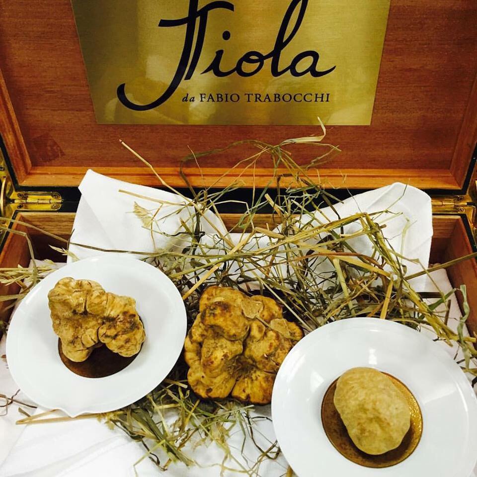 mtrabocchi's tweet photo. Looking forward to lunch @fioladc with some of this babies... #leisurelunch #finediningdc #trufflefriday https://t.co/Npuqy0v6lY