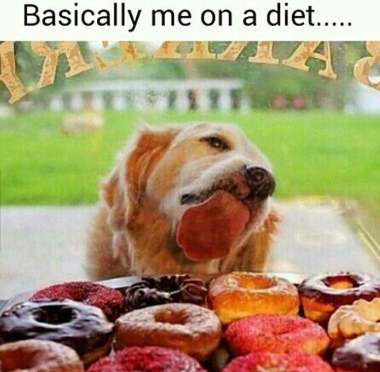 MensHumor's tweet photo. Me on a diet. https://t.co/nSaPl78Hh5