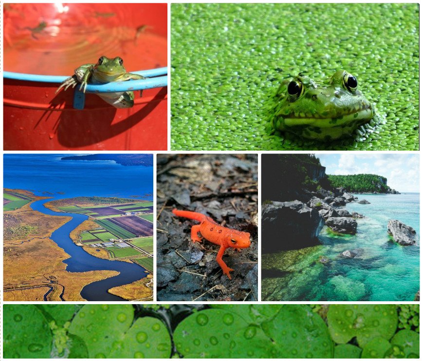 Help chose the People's Choice winner of our #ONGreenbelt photo contest! owl.li/TJAl5