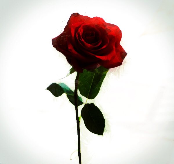 TheA52s's tweet image. Could The A52s be releasing a single?? Could be.... @artsbeat