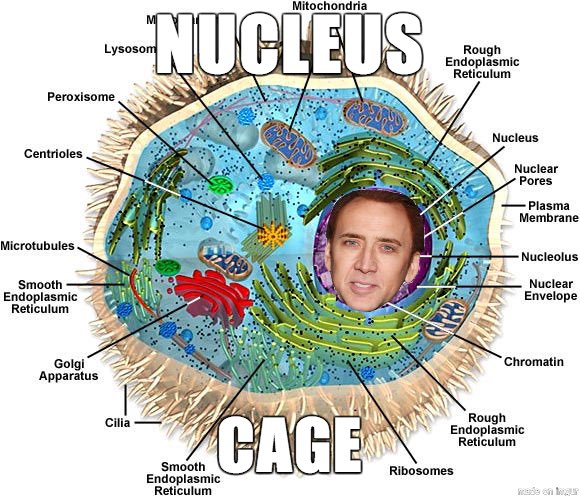 Queen_Nucleus's tweet photo. just in case any of y'all are having a bad Friday😂 https://t.co/RPlPKfpQih