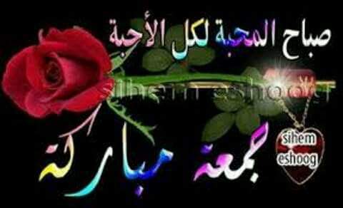 ابو بشار    _اليمن _ (@aomernpel) on Twitter photo 