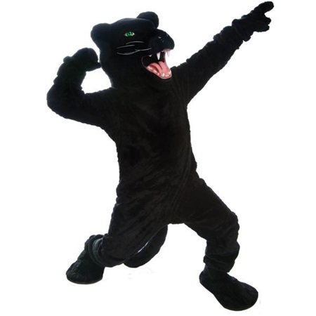 ACPHSAthletics's tweet photo. Show your #pantherpride and get your picture taken with the Panther today in the Student Center Atrium https://t.co/NXzVIqFcuR