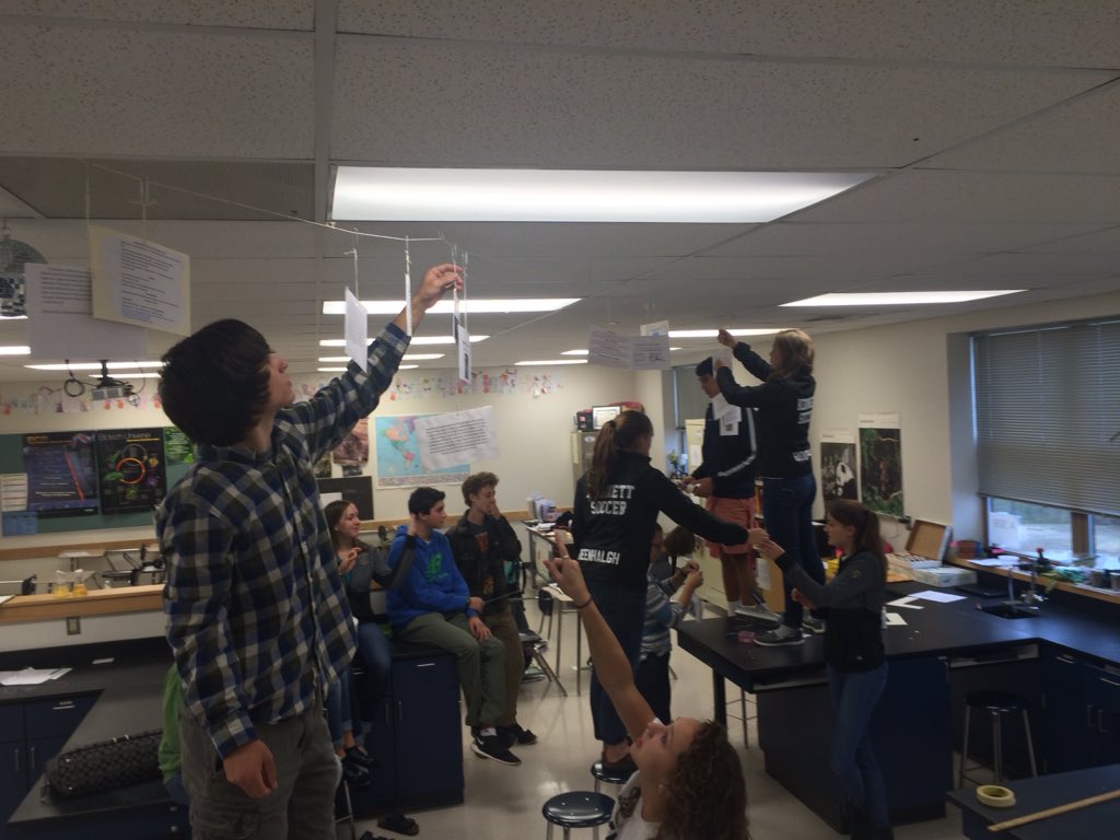 lindsaybcole's tweet photo. Life's history....in 5meters. #khsapbio #howneatisthat #apbiochat #flipclass https://t.co/N3SYnyMxtT