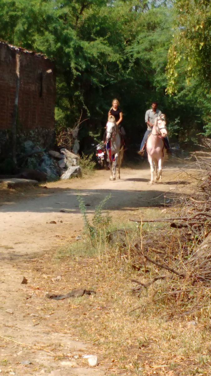 Enjoy #horseride <a href="/ravlakhempur/">ravla khempur</a>