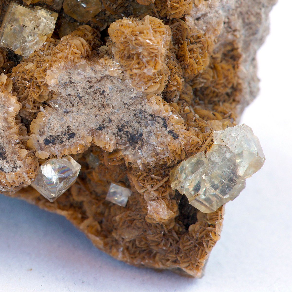 StarCrystalsAus's tweet photo. Wonderful #fluorite #crystalcubes on #magnesite from Tasmania https://t.co/xkFkLUri5Q